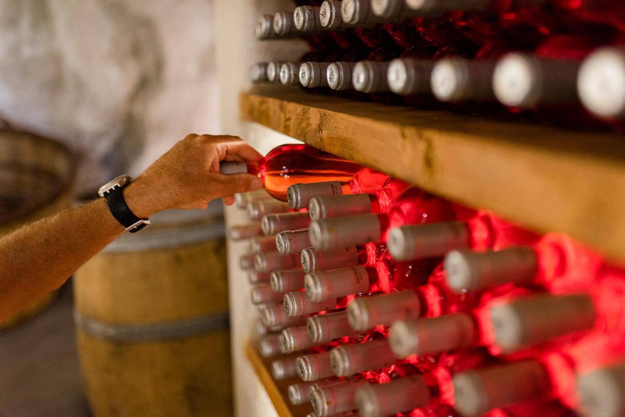 Penzion Kostantakis Winery Estate Pollonia Exteriér fotografie